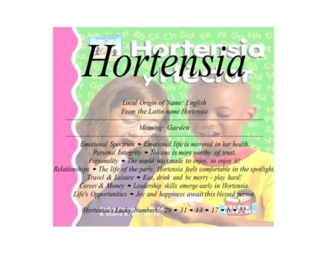 hortensia_001