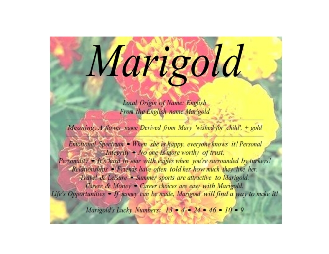 marigold_001
