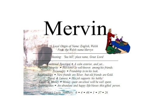 mervin_001-300x212